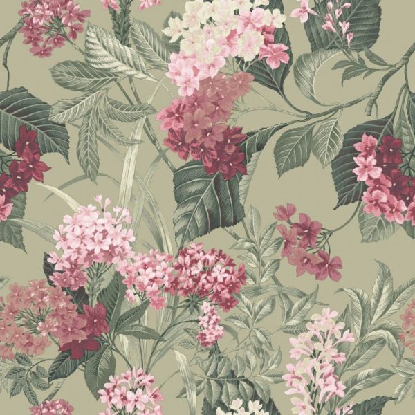 Belgravia Decor Misaki Floral Bloom Sage/Pink Wallpaper | Bold Botanical Design