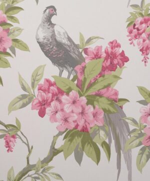 Crown Golden Pheasant Grey/Pink Wallpaper